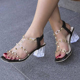 New Square Toe Transparent Sandals With Rivet Design Summer-Black Sandals-5