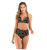 Sexy Printed High-waisted Two-piece Swimsuit-Blackcherry-13